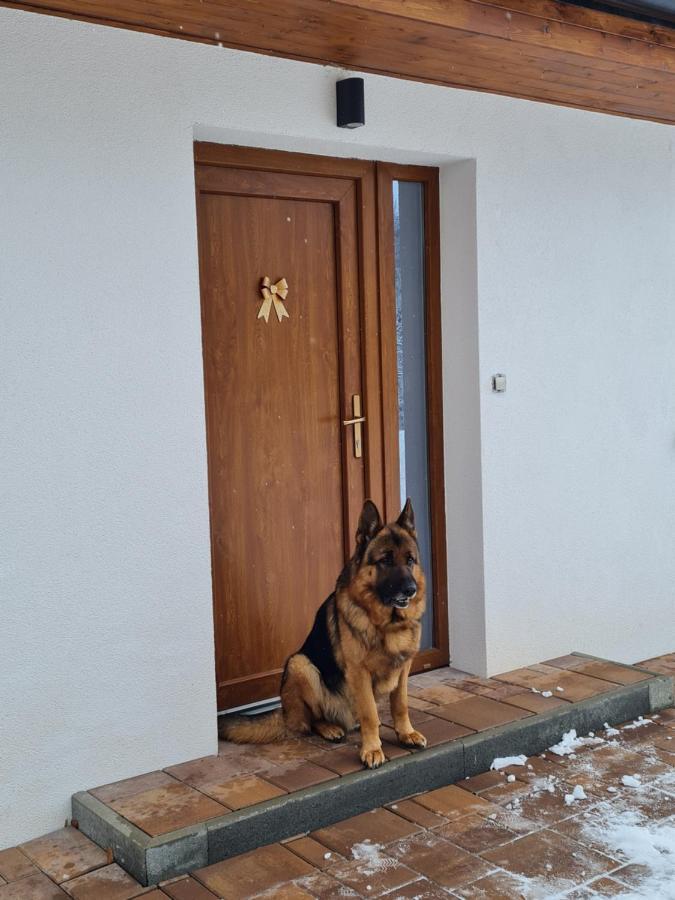Apartmany Bystra-Chopok Brezno Bagian luar foto